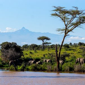 Mt Kenya National Park