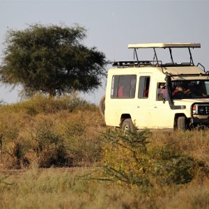 Amboseli Ride
